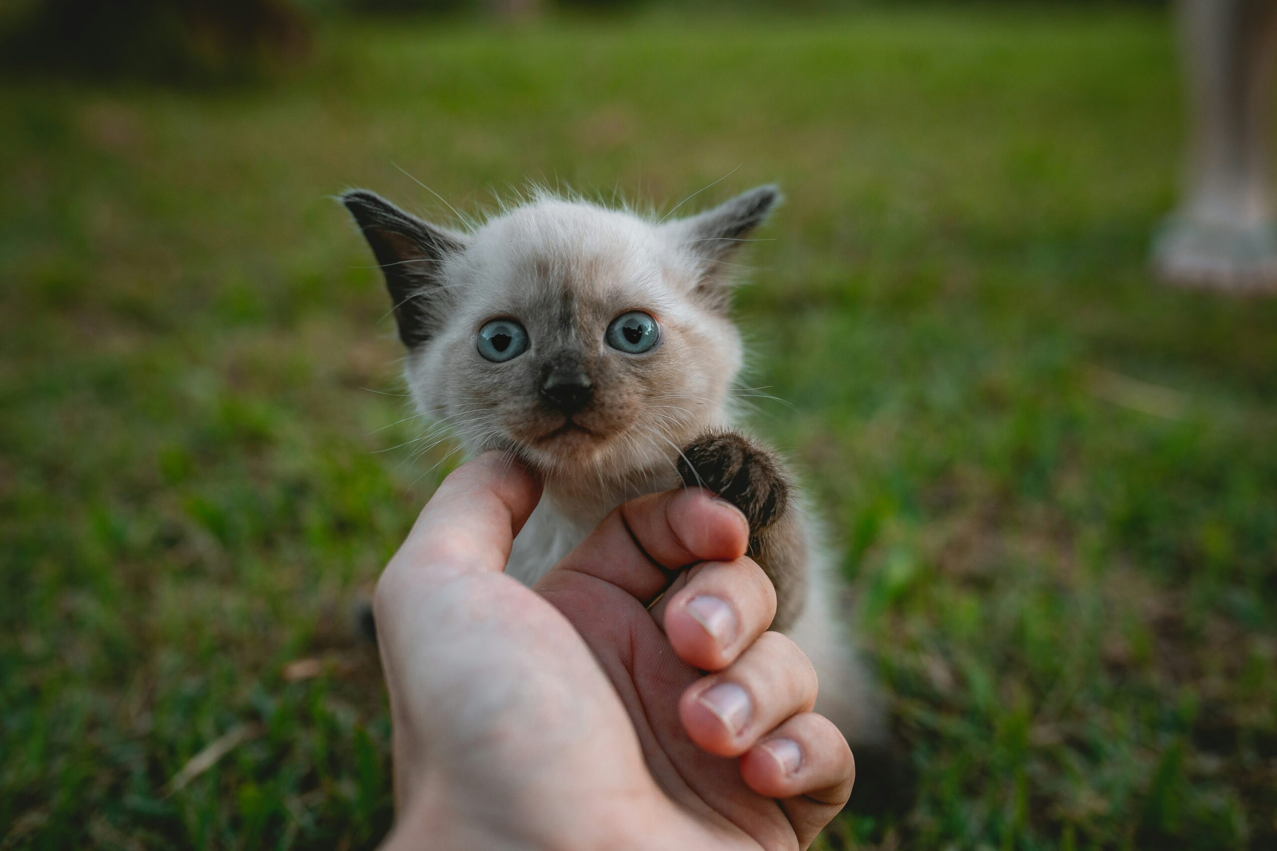Hello world!